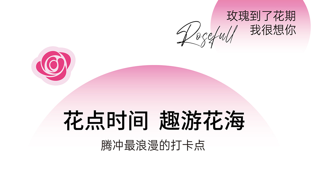 五一浪漫打卡點丨恒益南玫莊園玫瑰采摘節(jié)